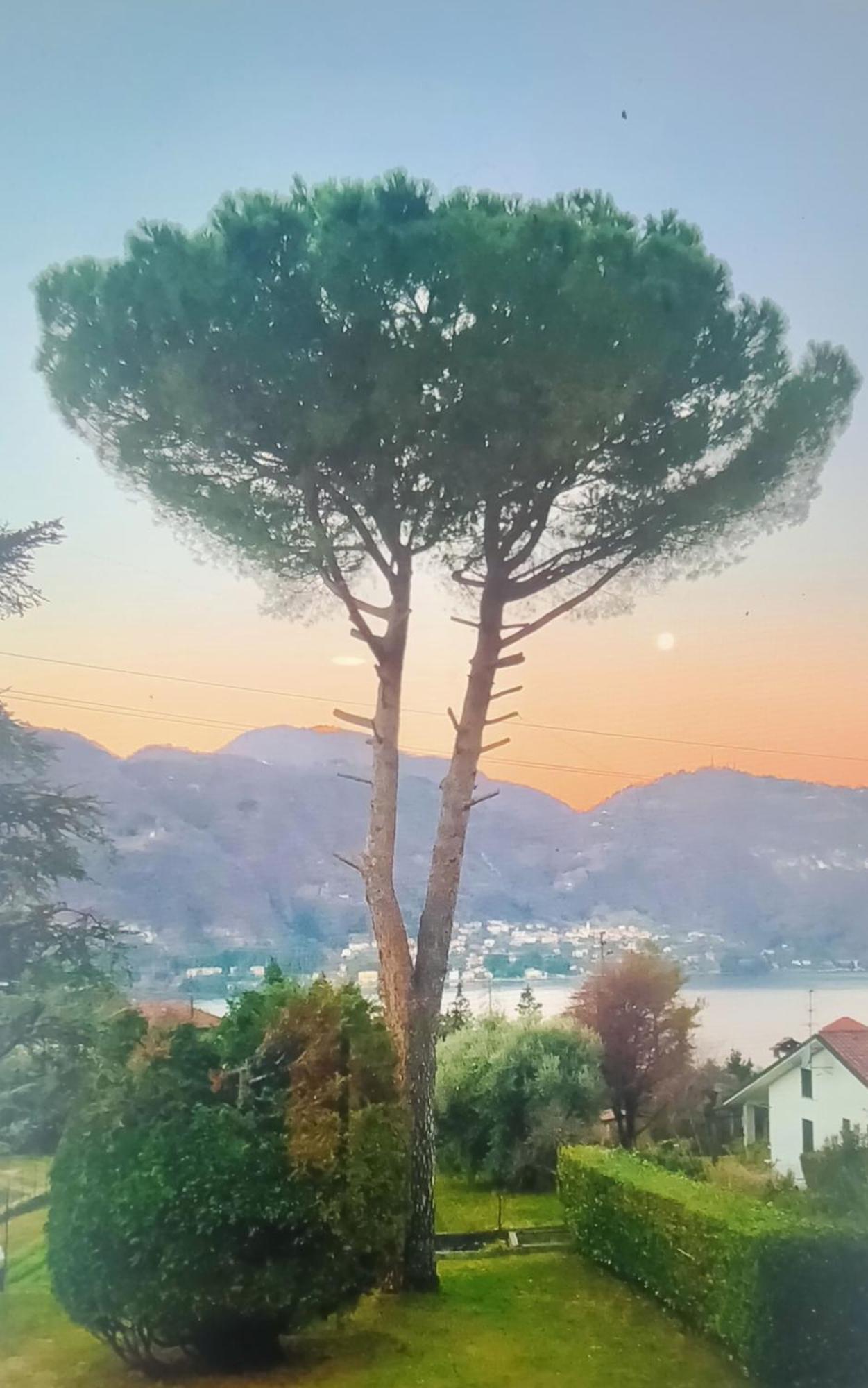 Villa Rosi Lierna Exterior foto
